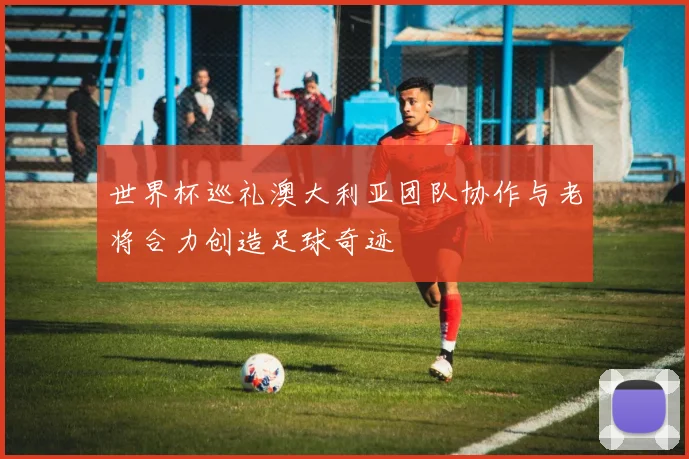 世界杯巡礼澳大利亚团队协作与老将合力创造足球奇迹
