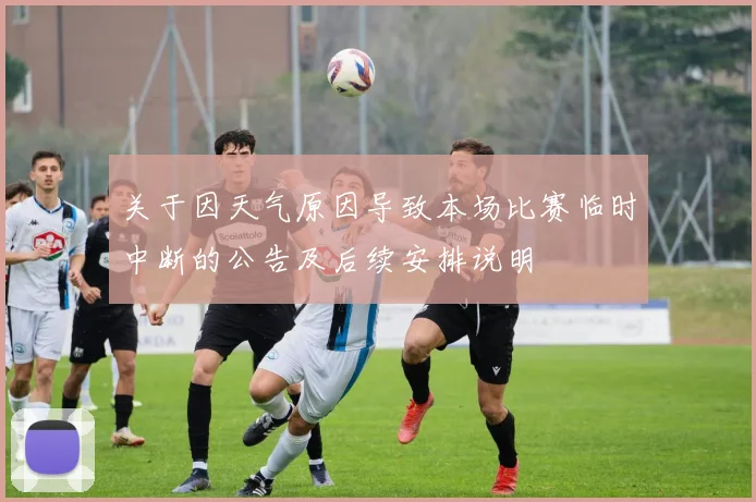 关于因天气原因导致本场比赛临时中断的公告及后续安排说明
